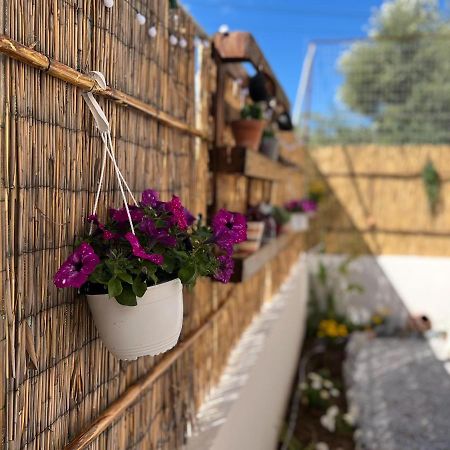 Antigoni'S Studio Cozy Private Apartment Kissamos Exterior photo